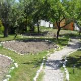 DSCN0766.jpg