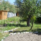 DSCN0768.jpg
