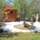 DSCN0784.jpg