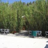 DSCN0796.jpg