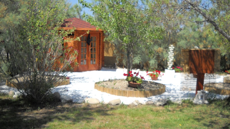 DSCN0784.jpg